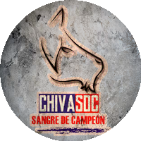 Logo Chivas Sangre de Campeón
